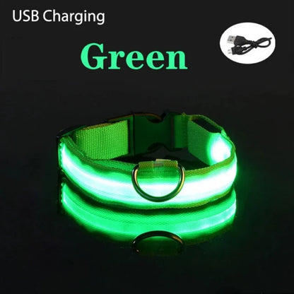 USB Rechargeable LED Glowing Dog Collar