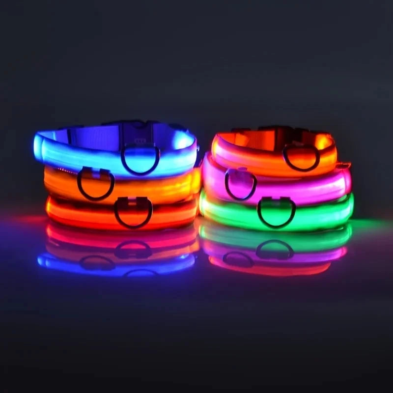 USB Rechargeable LED Glowing Dog Collar