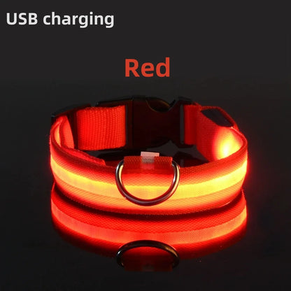 USB Rechargeable LED Glowing Dog Collar