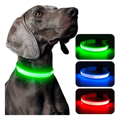 USB Rechargeable LED Glowing Dog Collar
