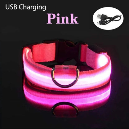 USB Rechargeable LED Glowing Dog Collar