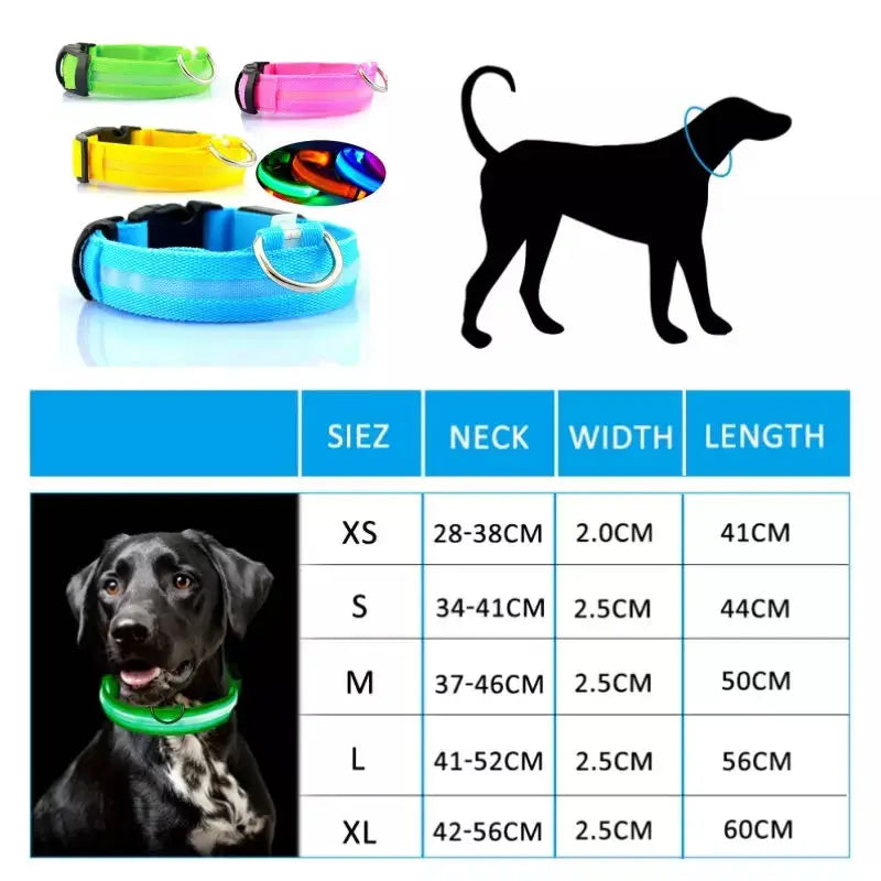 USB Rechargeable LED Glowing Dog Collar