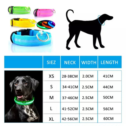 USB Rechargeable LED Glowing Dog Collar