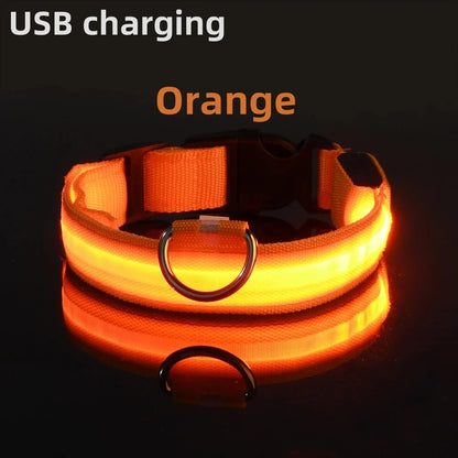 USB Rechargeable LED Glowing Dog Collar