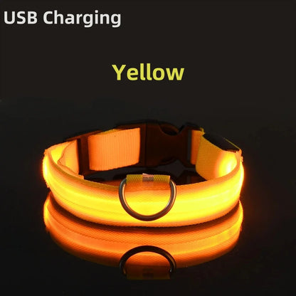 USB Rechargeable LED Glowing Dog Collar