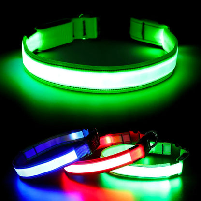 USB Rechargeable LED Glowing Dog Collar