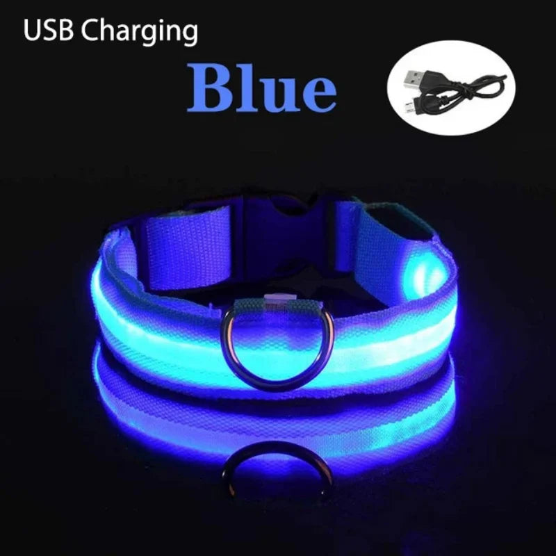 USB Rechargeable LED Glowing Dog Collar