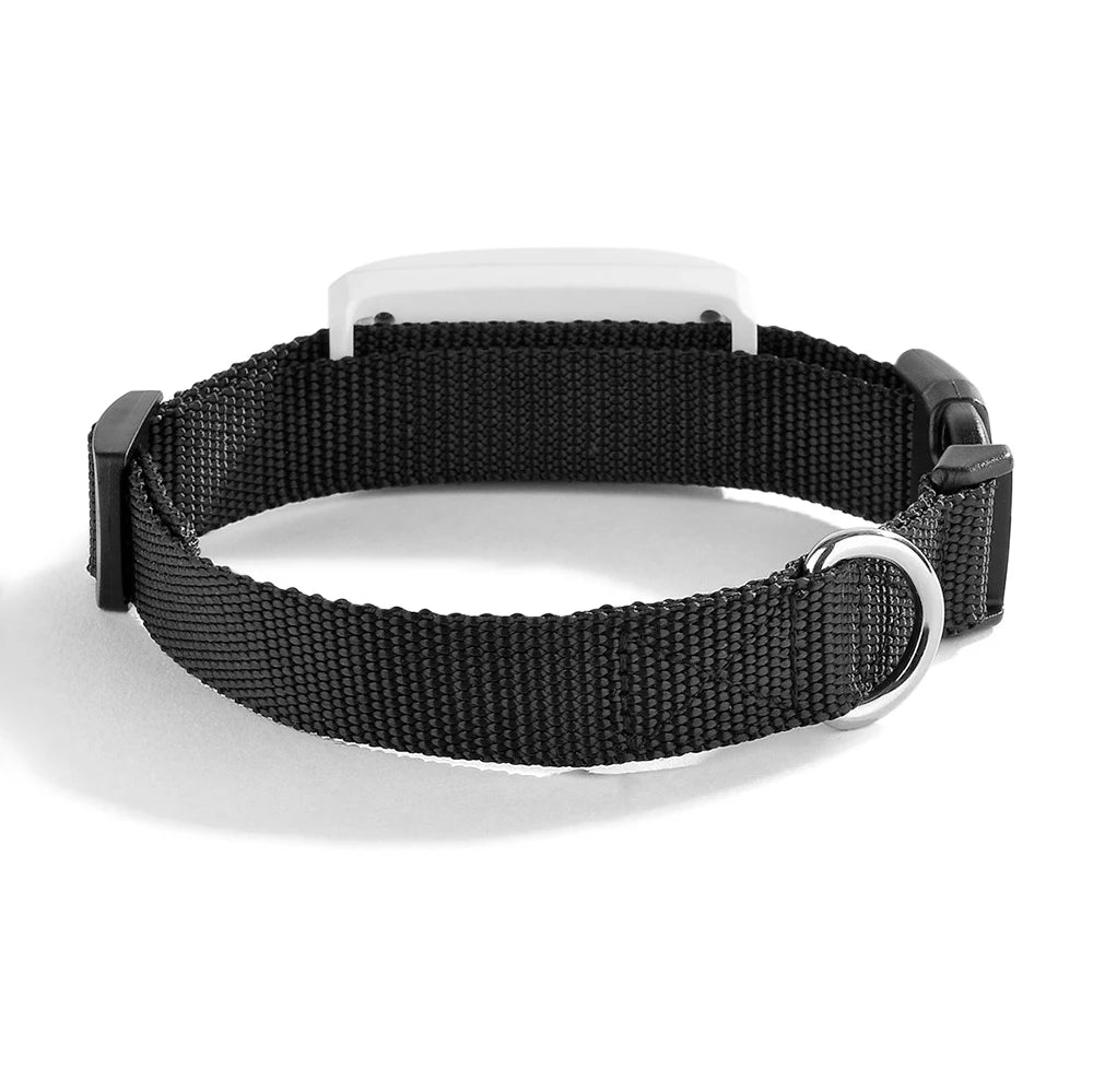Mini Waterproof GPS Pet Tracker
