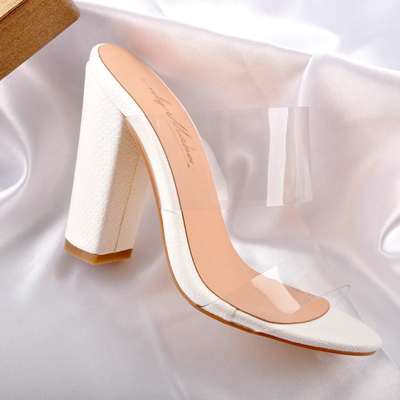 Women's Clear Double Strap Chunky Heel Mule Sandals
