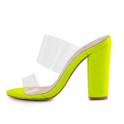 Women's Clear Double Strap Chunky Heel Mule Sandals