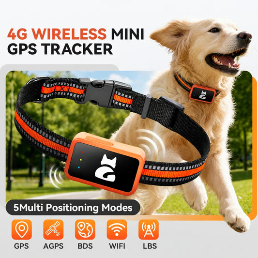 4G GPS Pet Tracker Collar with Health Monitor