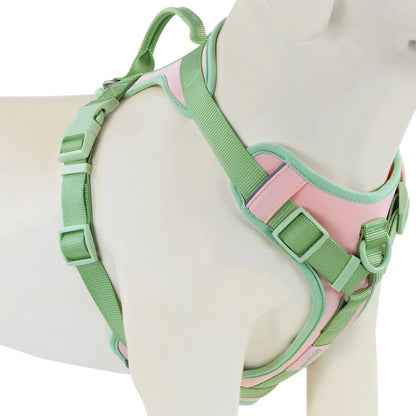 Luxury No-Pull Adjustable Dog Harness
