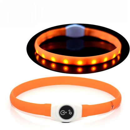 USB Rechargeable LED Safety Dog Collar