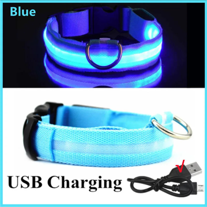 USB Rechargeable LED Dog Safety Collar