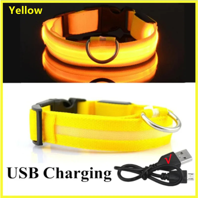 USB Rechargeable LED Dog Safety Collar