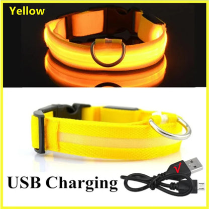 USB Rechargeable LED Dog Safety Collar