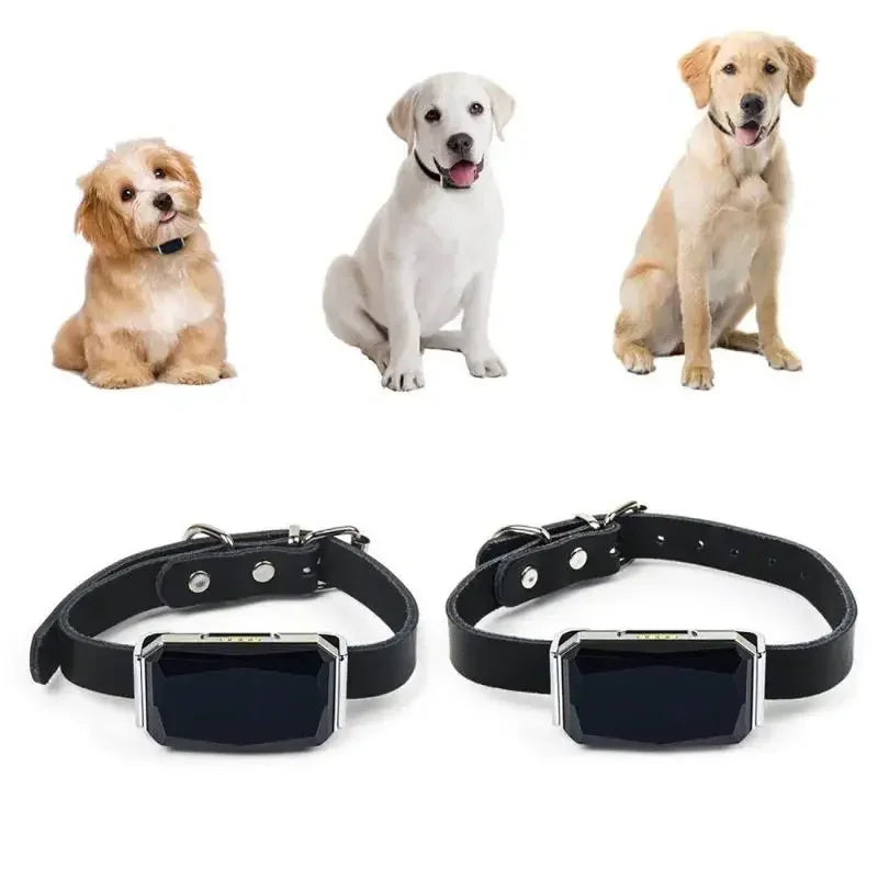 IP67 Waterproof GPS Pet Tracker