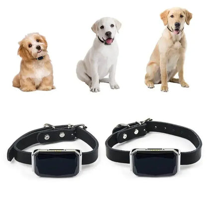 IP67 Waterproof GPS Pet Tracker