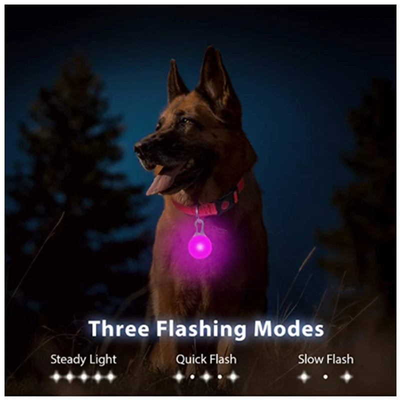 USB Rechargeable LED Dog Safety Collar