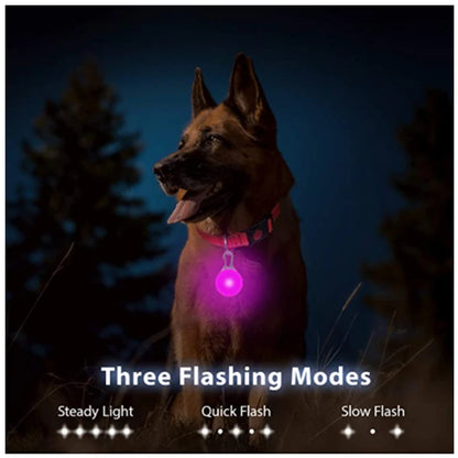 USB Rechargeable LED Dog Safety Collar