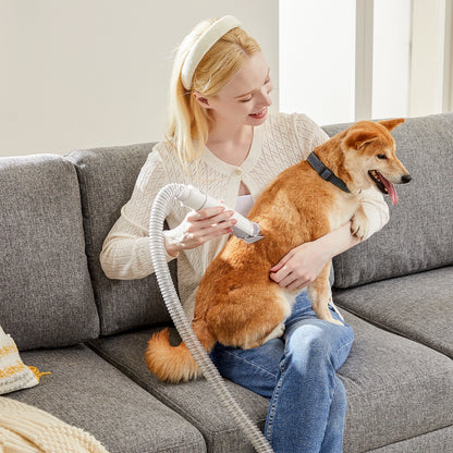 2.5L Professional Pet Grooming Vacuum Kit