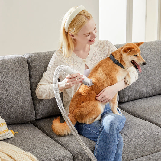 2.5L Professional Pet Grooming Vacuum Kit
