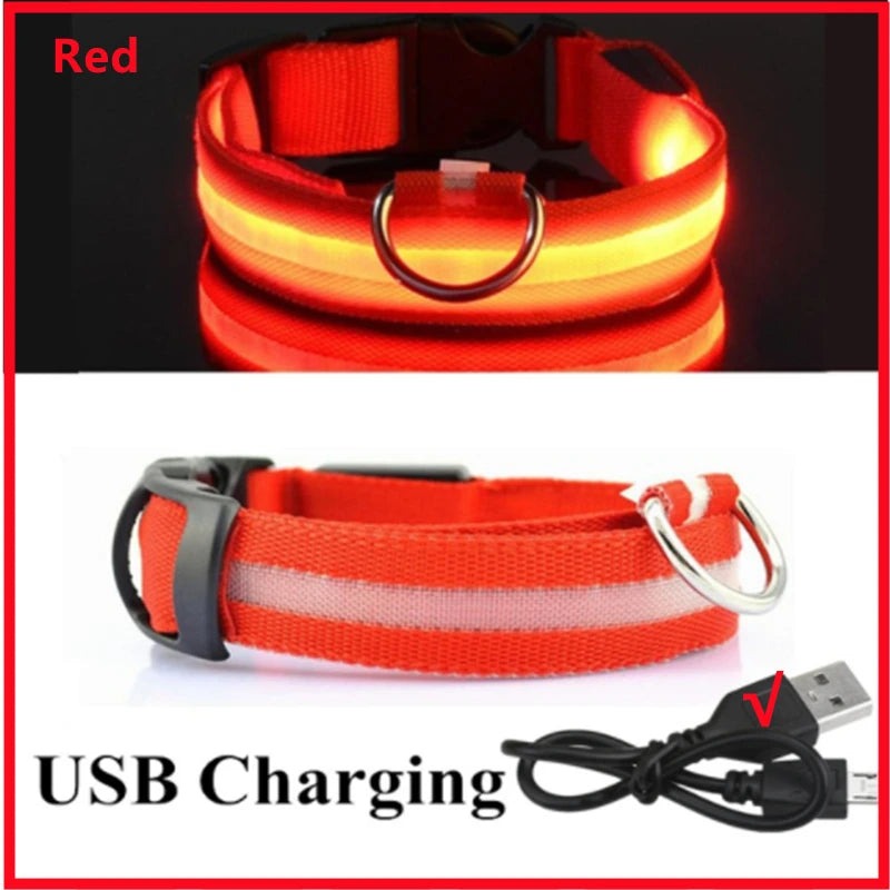USB Rechargeable LED Dog Safety Collar