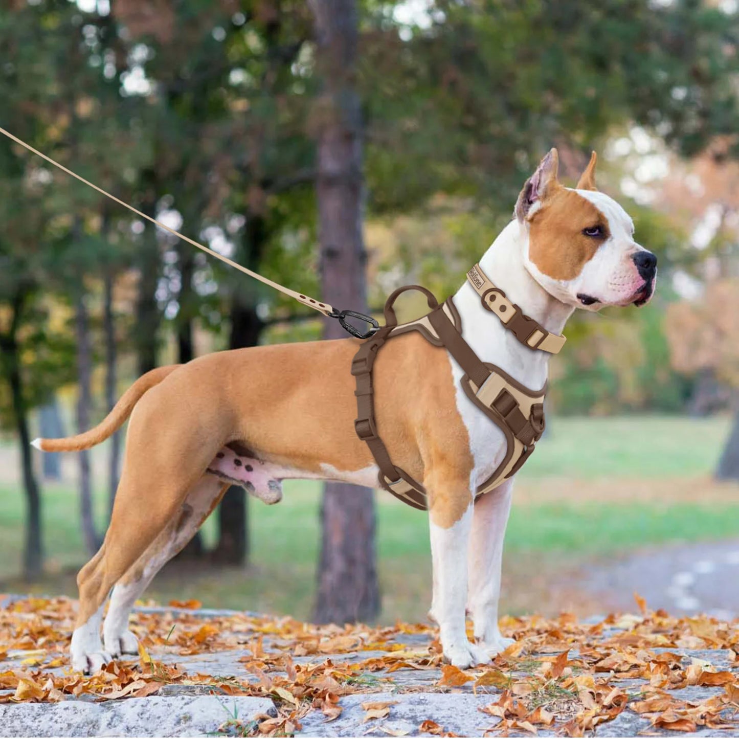 Luxury No-Pull Adjustable Dog Harness