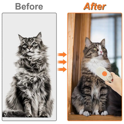 Steam Spray Pet Grooming Brush with Massage