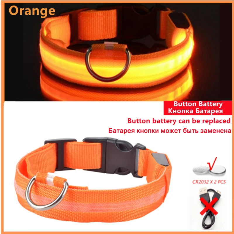 USB Rechargeable LED Dog Safety Collar