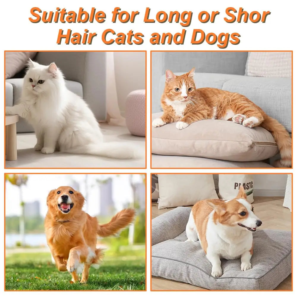 Steam Spray Pet Grooming Brush with Massage