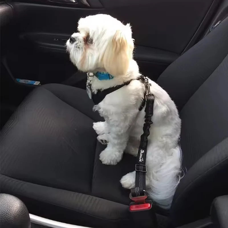 Elastic Dog Car Safety Seat Belt Leash