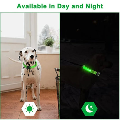 USB Rechargeable LED Dog Safety Collar
