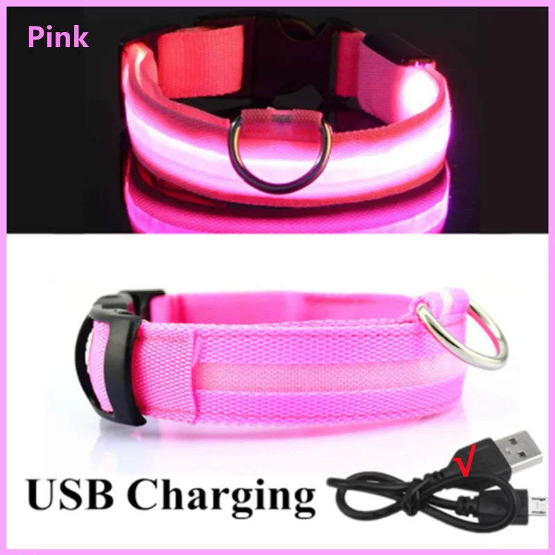 USB Rechargeable LED Dog Safety Collar