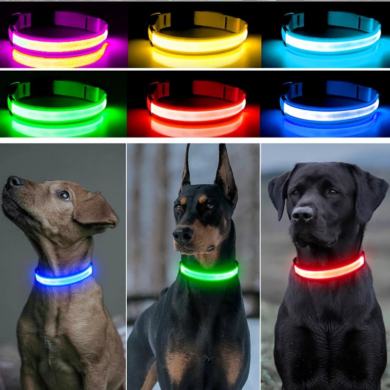 USB Rechargeable LED Dog Safety Collar