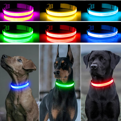 USB Rechargeable LED Dog Safety Collar