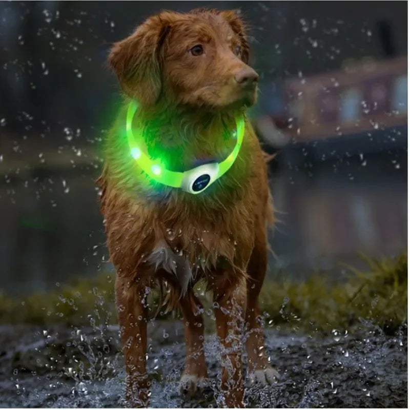 USB Rechargeable LED Safety Dog Collar