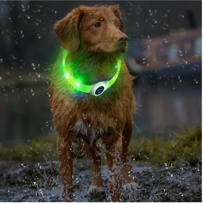 USB Rechargeable LED Safety Dog Collar