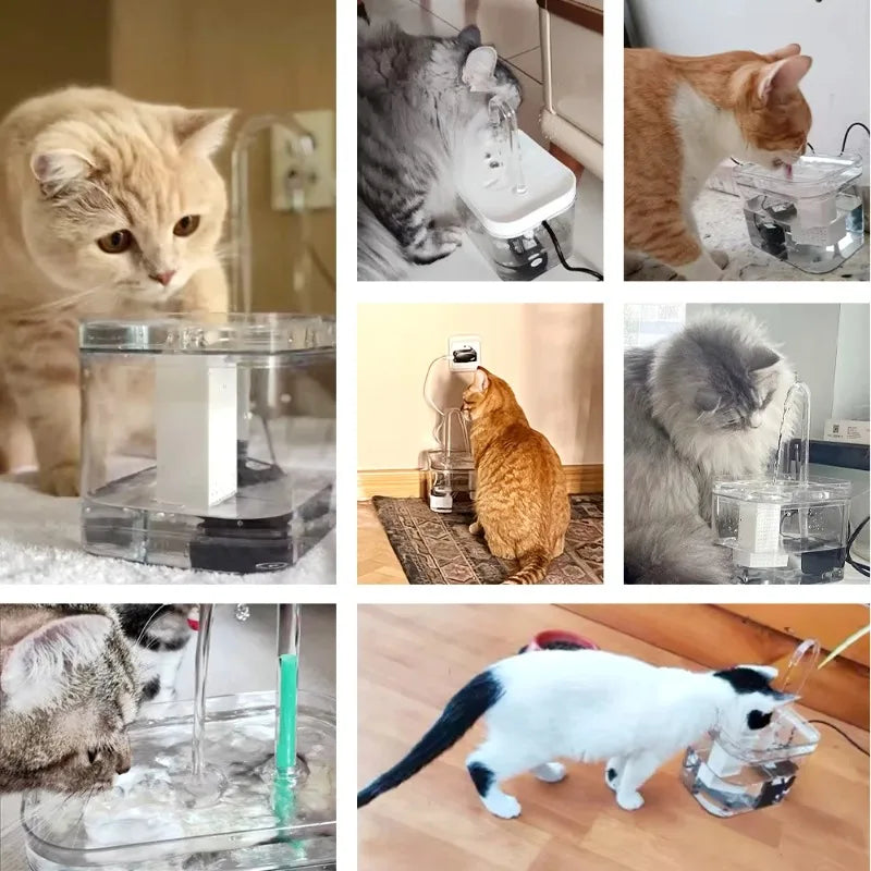 Transparent Automatic Cat Water Fountain with Filter
