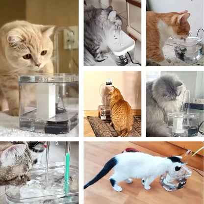 Transparent Automatic Cat Water Fountain with Filter
