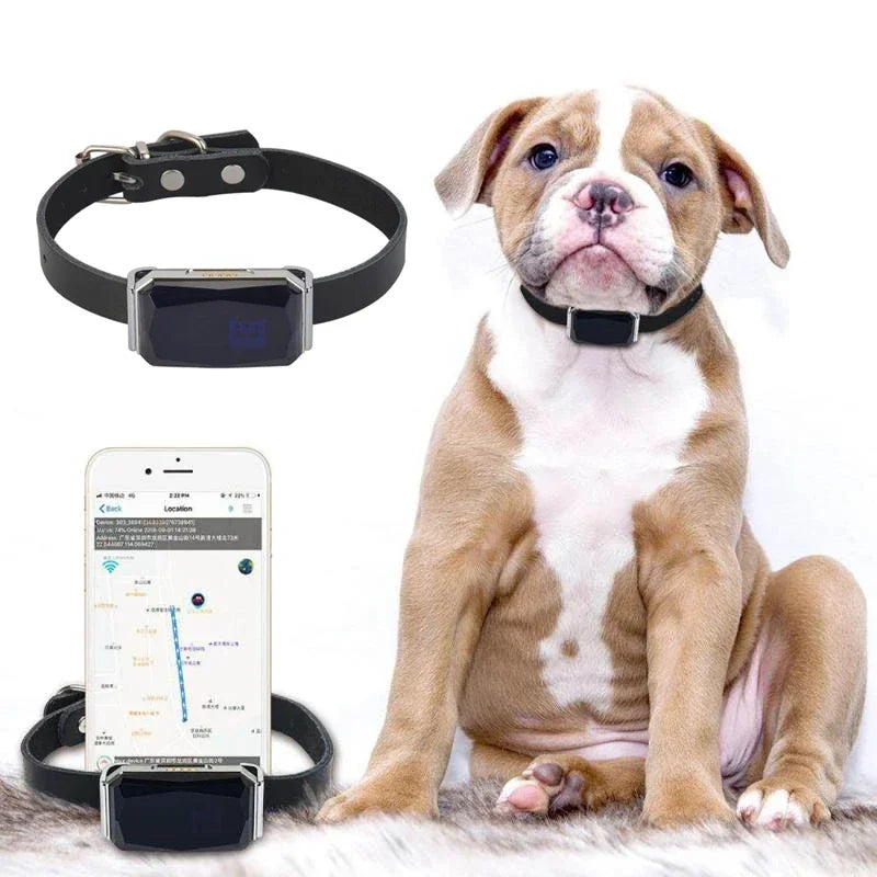 IP67 Waterproof GPS Pet Tracker