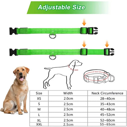 USB Rechargeable LED Dog Safety Collar