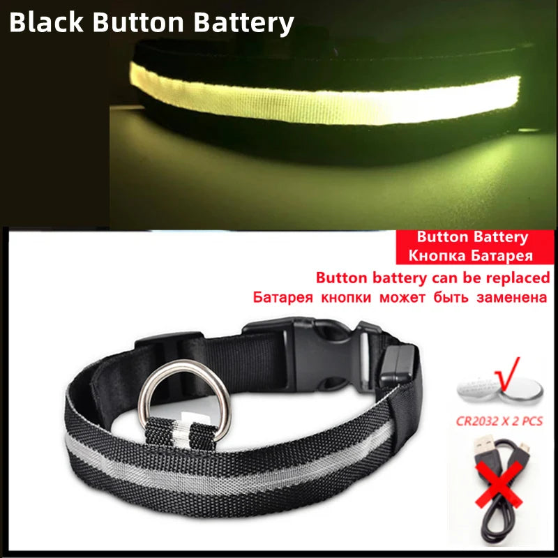 USB Rechargeable LED Dog Safety Collar