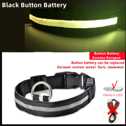 USB Rechargeable LED Dog Safety Collar