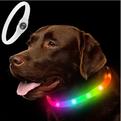 USB Rechargeable LED Safety Dog Collar