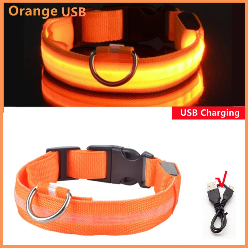 USB Rechargeable LED Dog Safety Collar