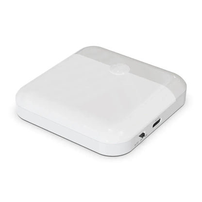 USB Rechargeable LED Motion Sensor Light