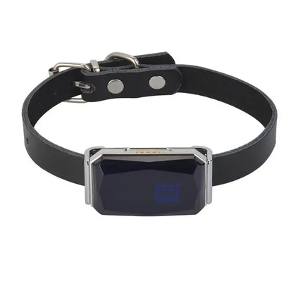 IP67 Waterproof GPS Pet Tracker