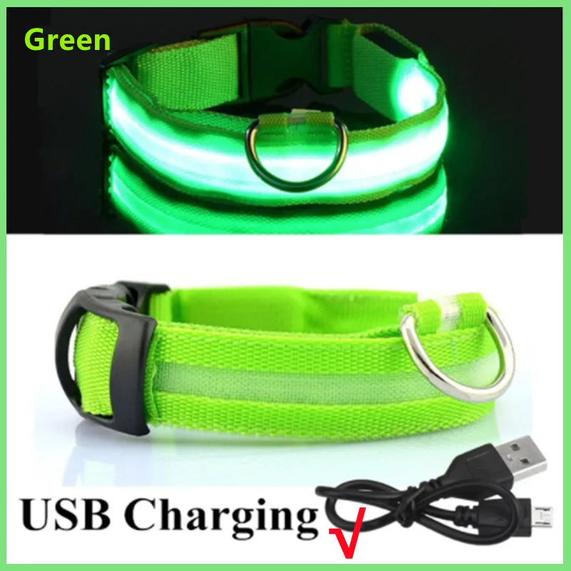 USB Rechargeable LED Dog Safety Collar