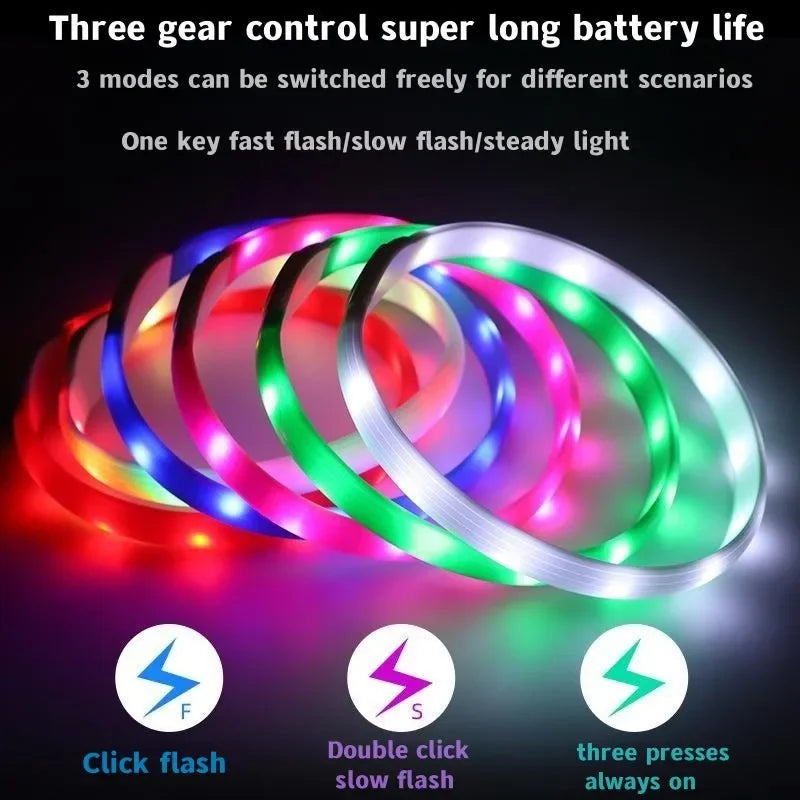 USB Rechargeable LED Safety Dog Collar